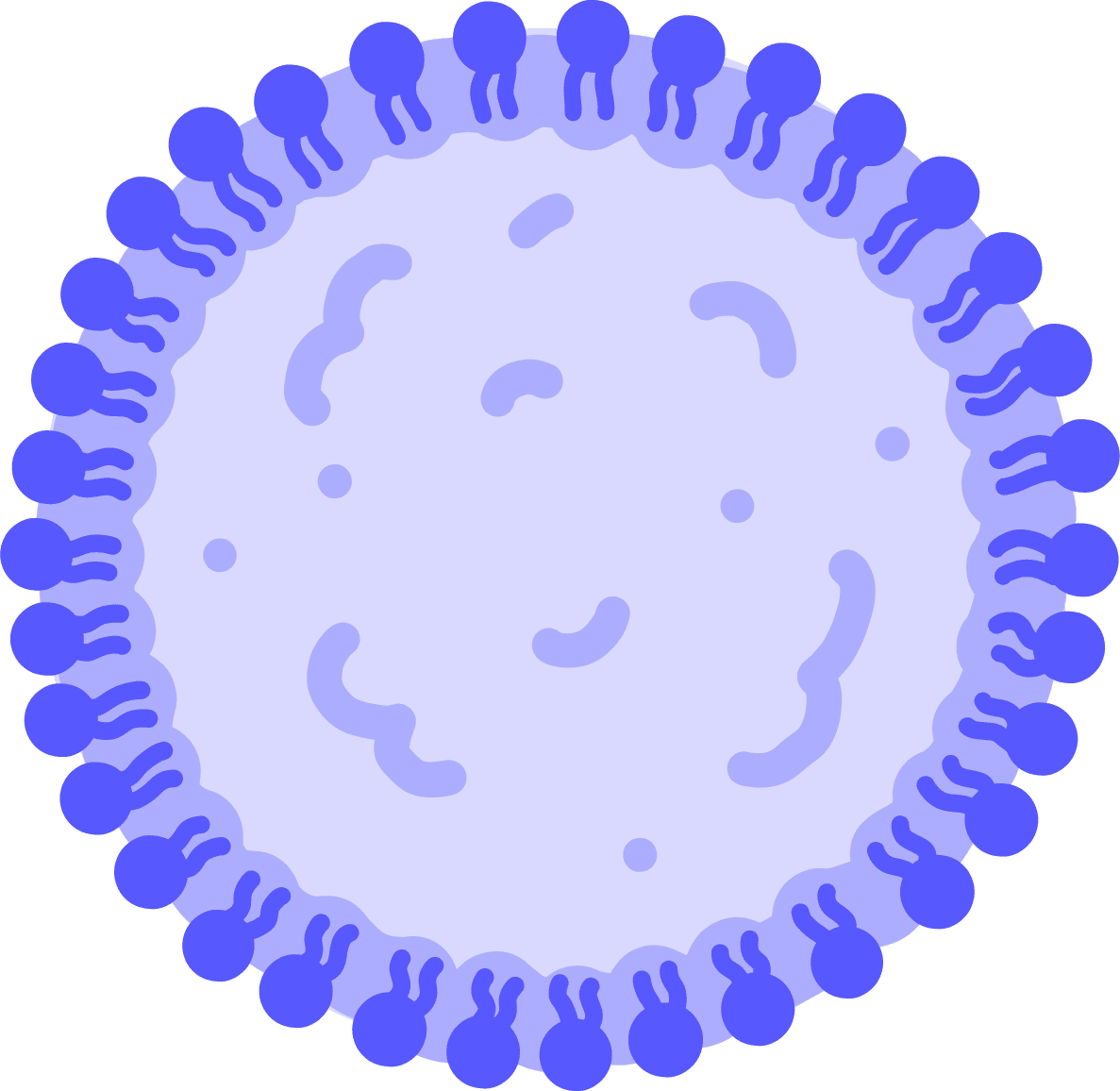 Illustration of lipid nanoparticle