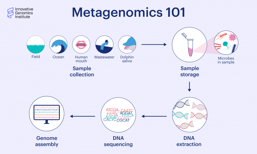 Metagenomics 101 With Spencer Diamond - Innovative Genomics Institute (IGI)