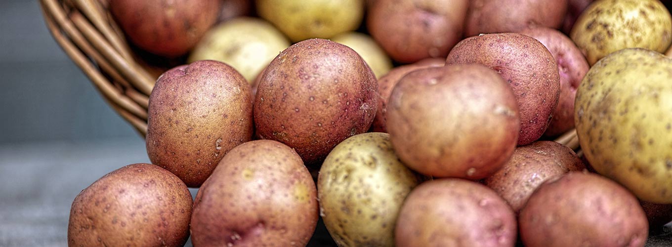 多种颜色的土豆