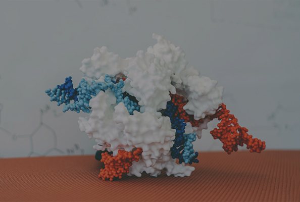Foto de un modelo CRISPR