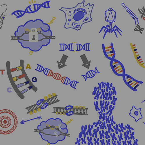 Collage de varios elementos del glosario IGI