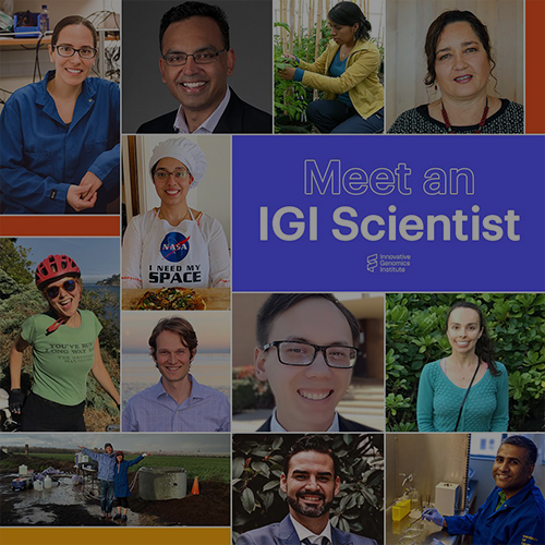 Collage of various IGI scientists