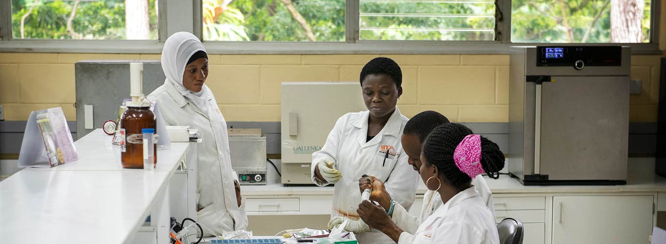 Investigadores trabajando en el campus del Instituto Internacional de Agricultura Tropical del CGIAR en Ibadan, Nigeria (Chris de Bode / CGIAR)