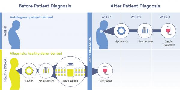 CRISPR Clinical Trials: A 2023 Update - Innovative Genomics Institute (IGI)