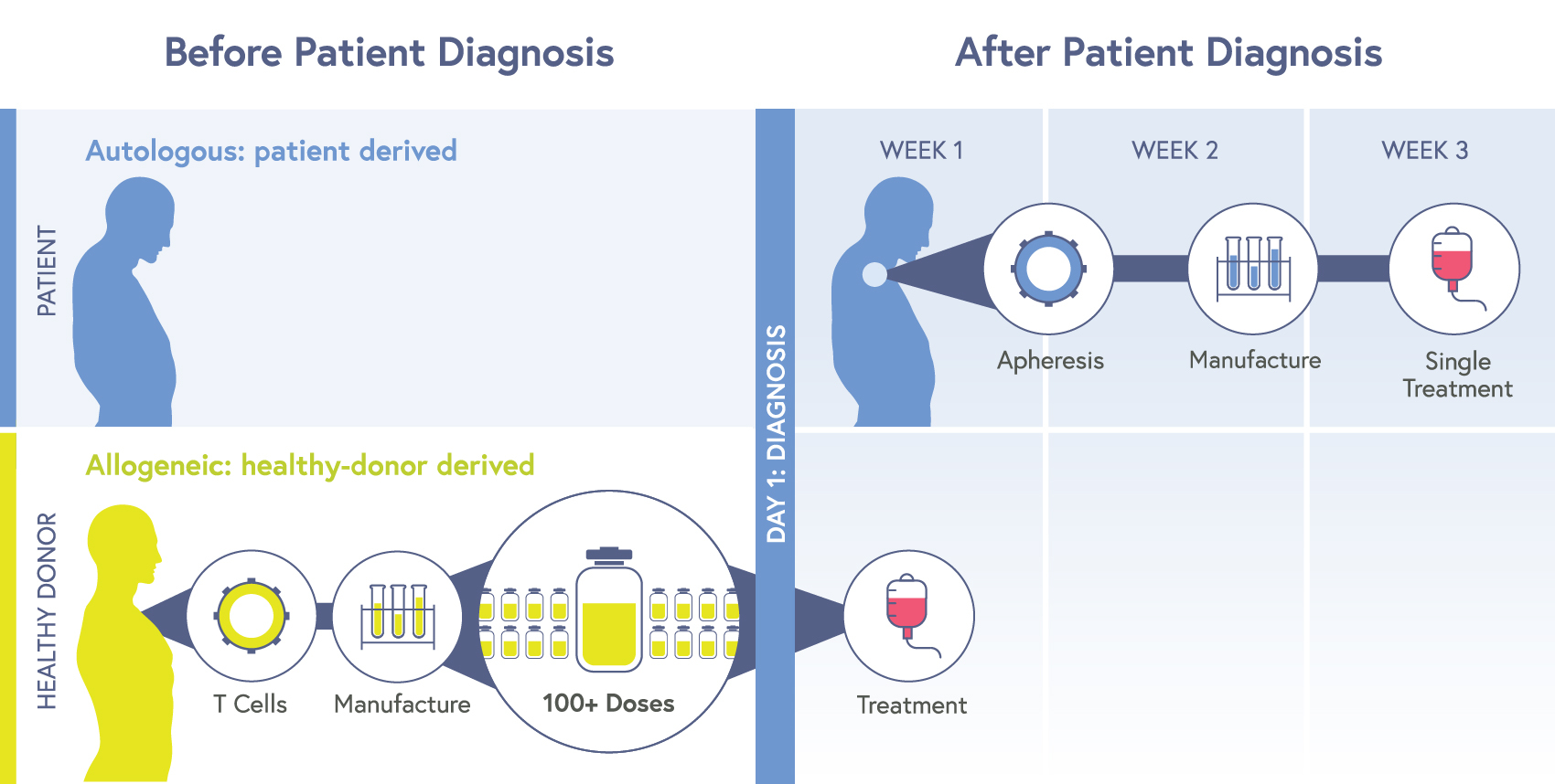 CRISPR Clinical Trials: A 2023 Update - Innovative Genomics Institute (IGI)