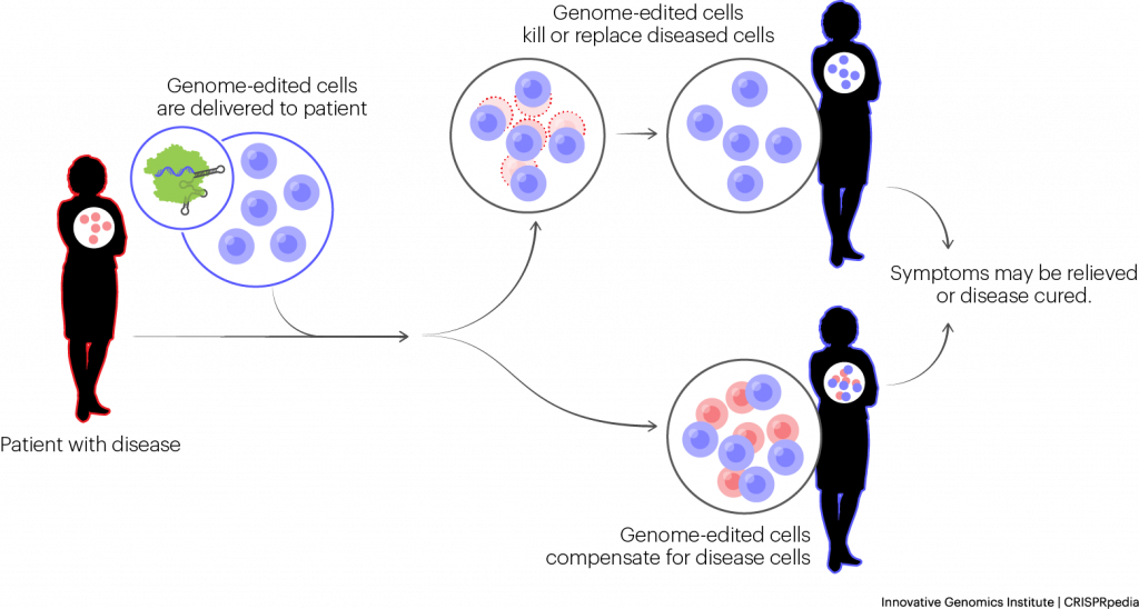 CRISPR in Medicine - CRISPRpedia