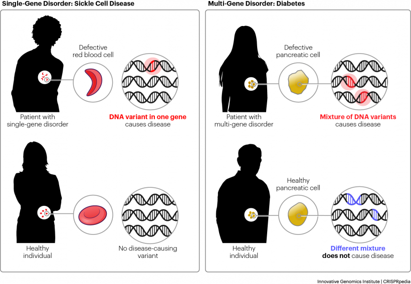 Ilustración que muestra los orígenes de las enfermedades genéticas