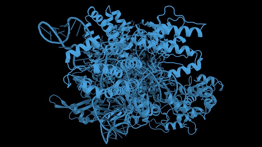 diagrama de cinta de una proteína