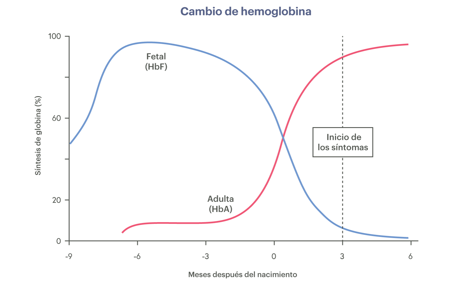 Gráfico que muestra los tipos de producción de hemoglobina a lo largo del tiempo