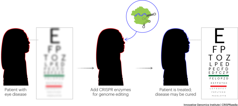 Illustration showing Gene Therapy
