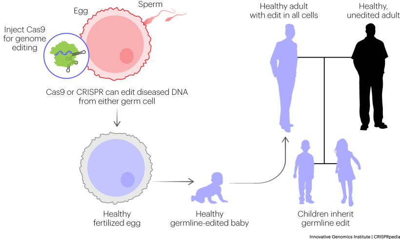 Illustration showing Gene Therapy