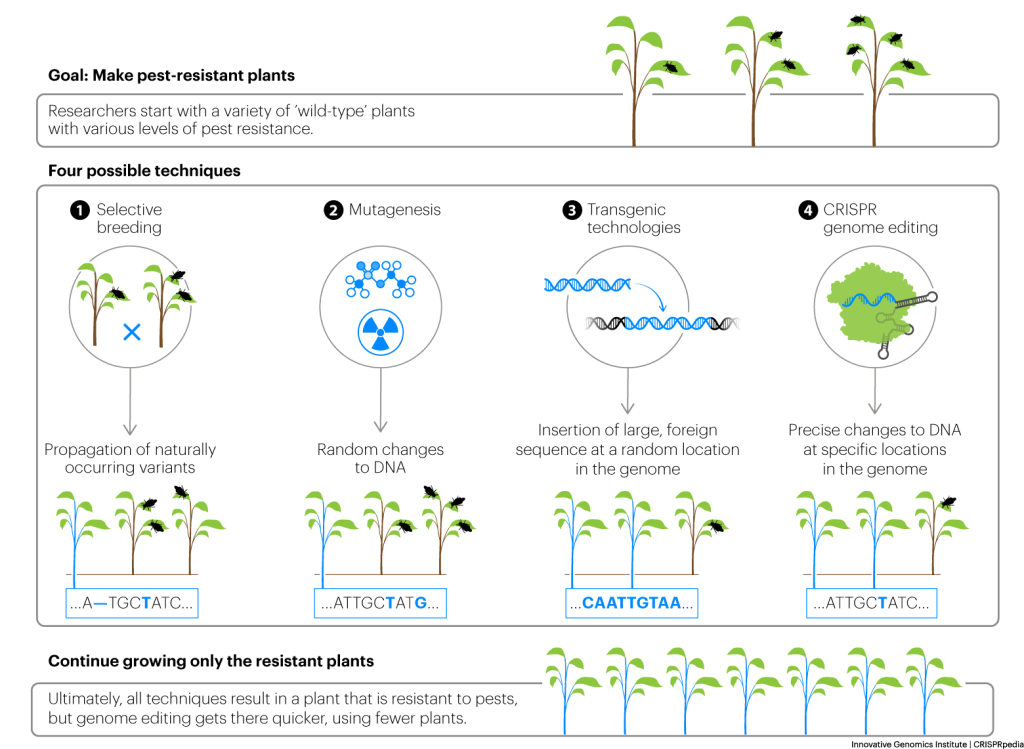 CRISPR In Agriculture - CRISPRpedia