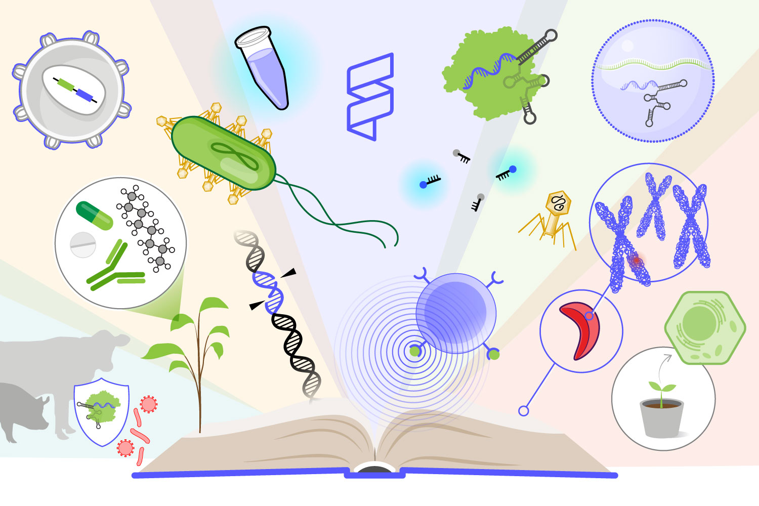 illustration of an open text book and various science graphics floating above it