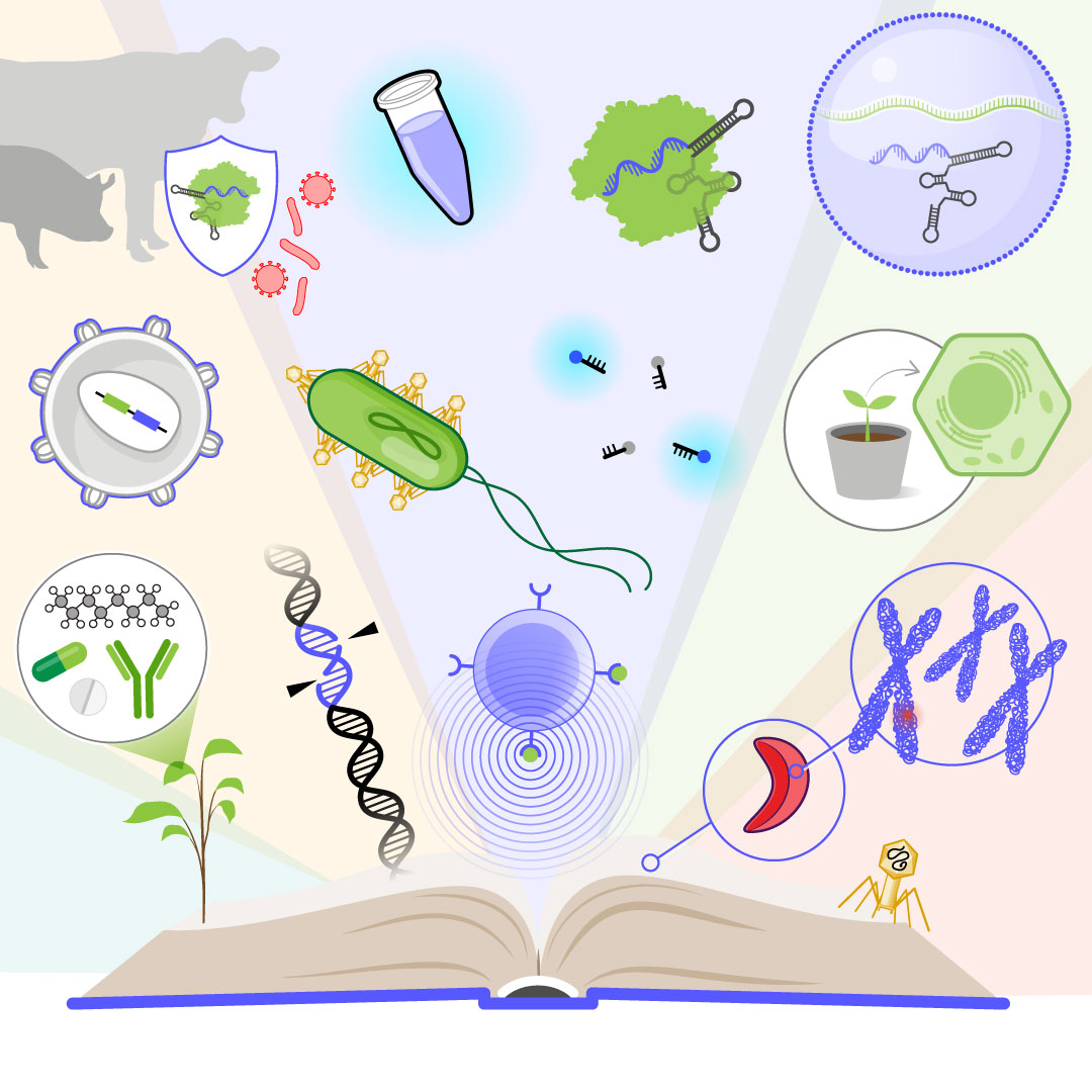 ilustración de un libro de texto abierto y varios gráficos científicos flotando sobre él