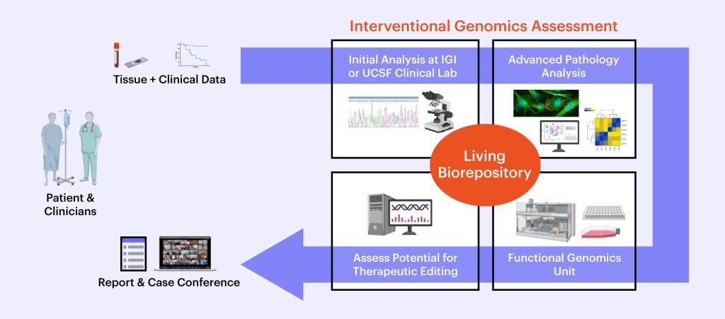 overview of the interventional genomics assessment process