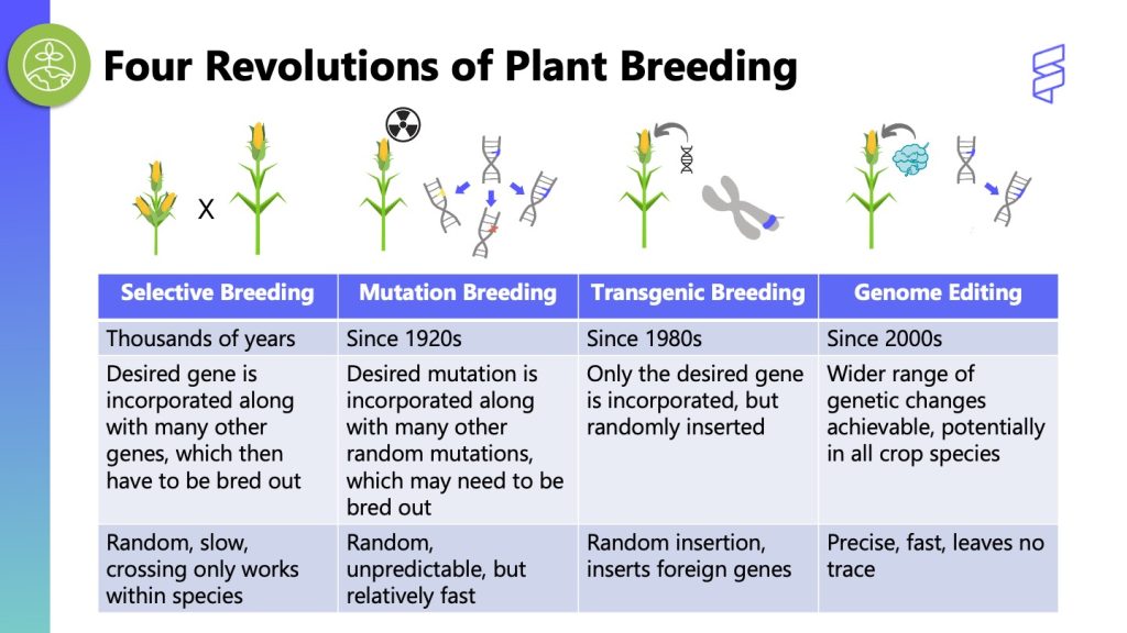 Diagram showing the four revolutions of plant breeding: selective breeding, mutation breeding, transgenic breeding, genome editing