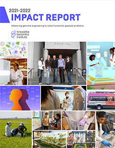 Cover of the IGI Impact Report