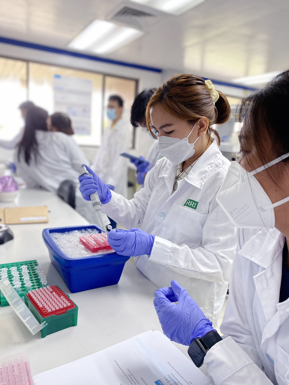 Mujeres del sudeste asiático en un laboratorio pipeteando