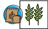 AG Icons WHEAT DISEASE RESISTANCE