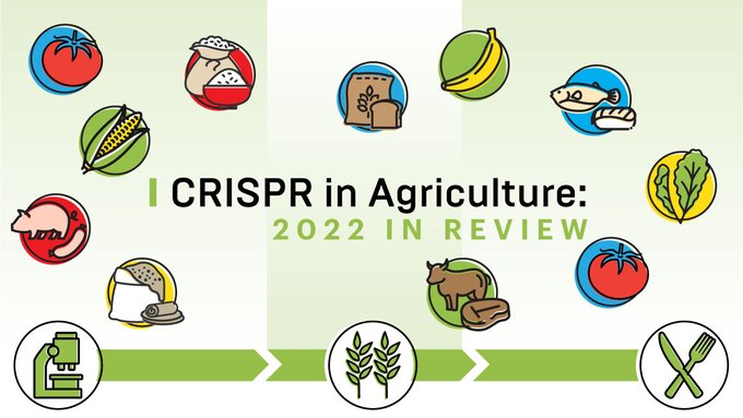 带有不同 CRISPR 编辑农产品图标的时间表