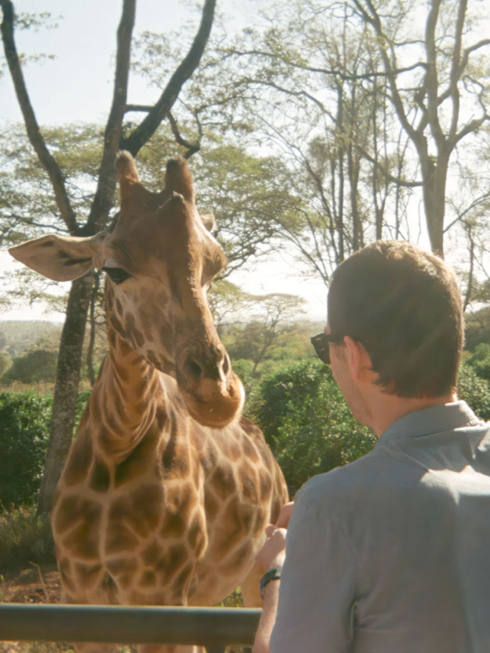 Dave Savage at the Nairobi Giraffe Centre