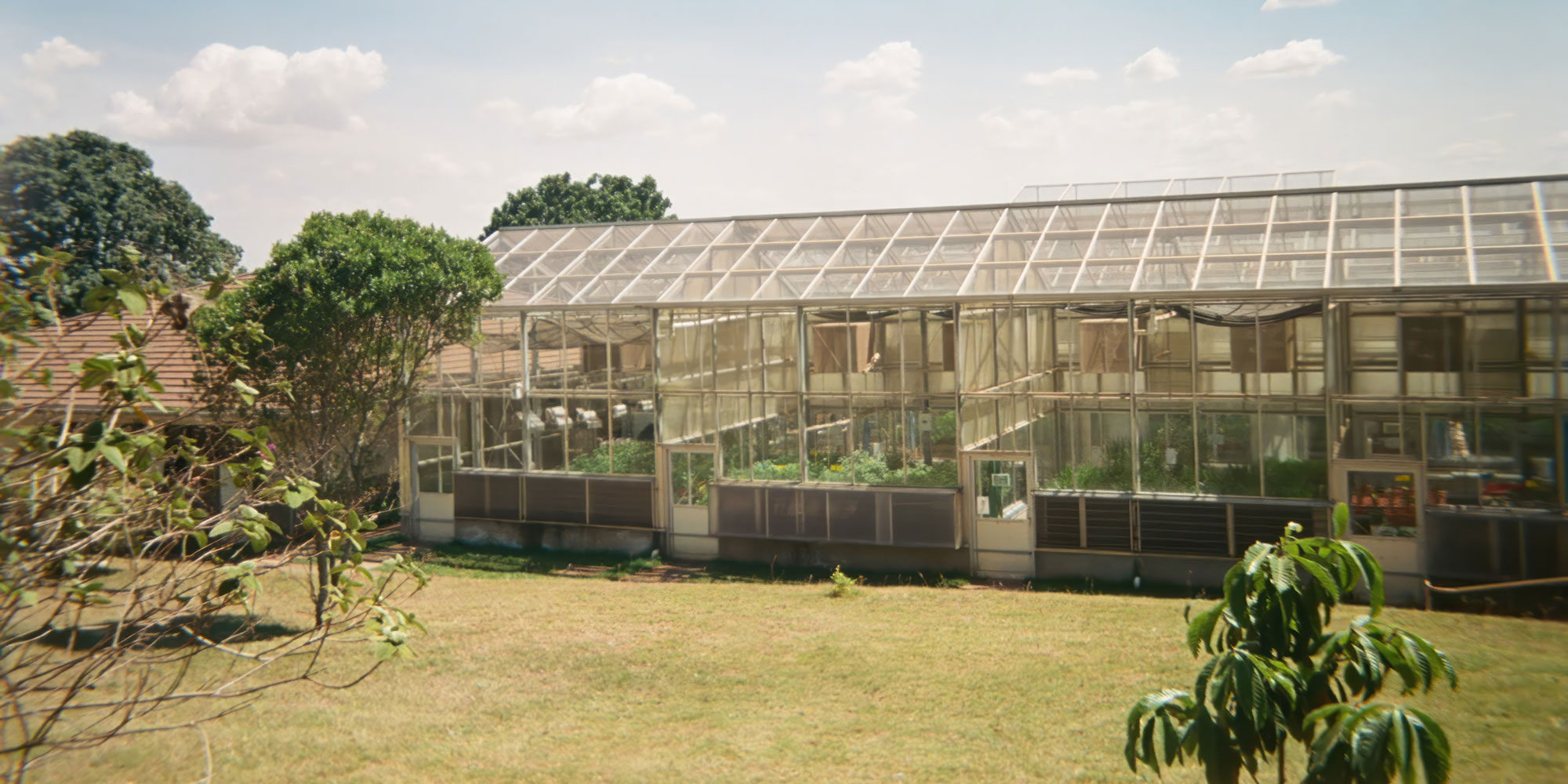 Photo of greenhouse in Africa