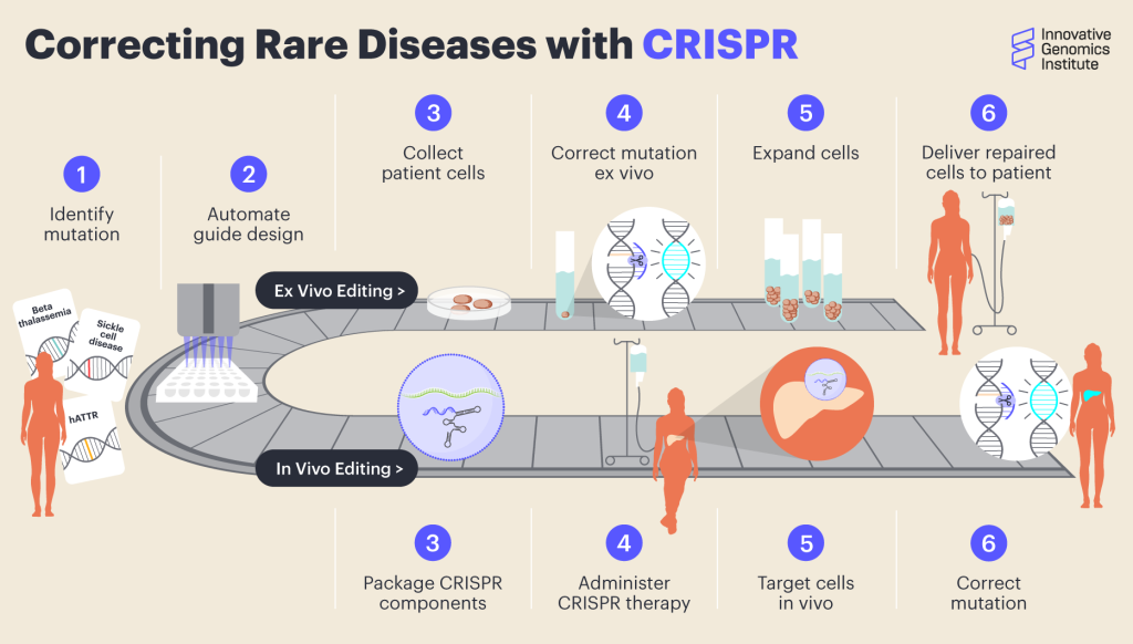 Un diagrama de cómo las curas CRISPR tienen un conjunto de pasos generalizados que se pueden aplicar a múltiples enfermedades.