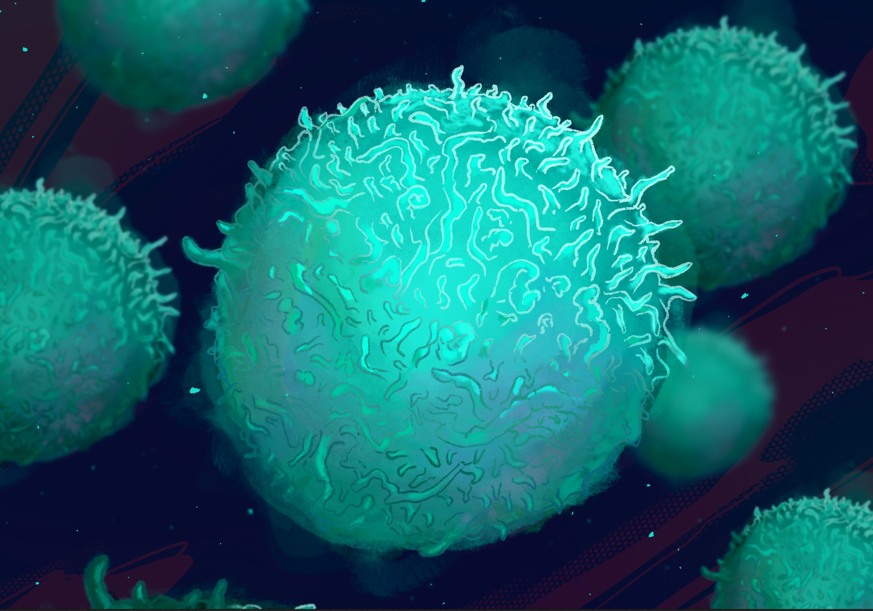 illustration of T cells