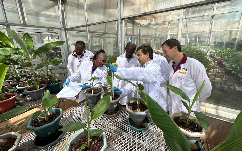 Course participants and instructors working together in the greenhouse