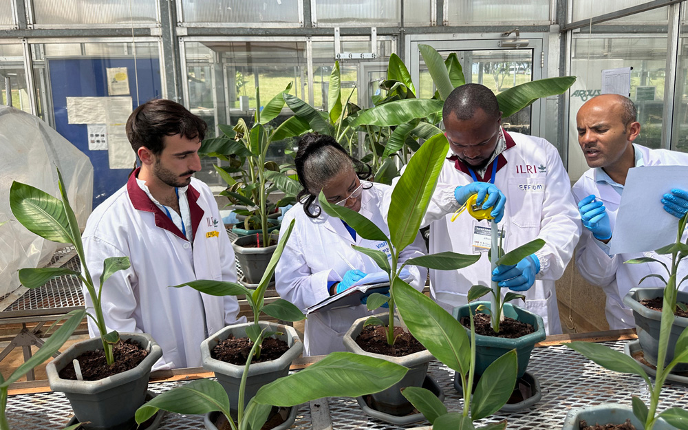 Participants and instructors working together in the greenhouse