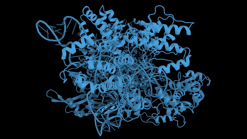 ribbon diagram of a protein