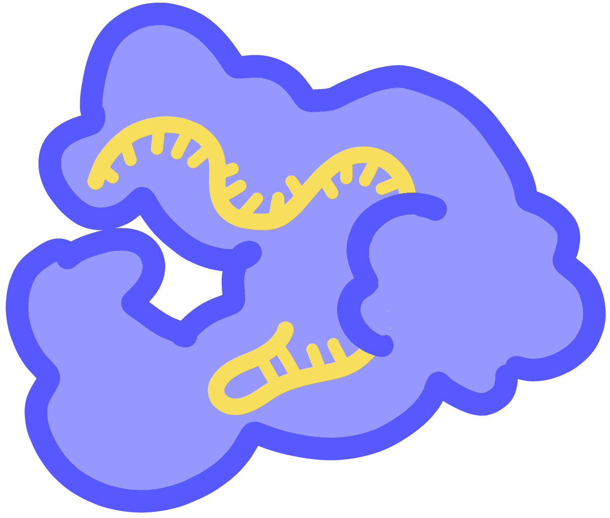 Image of blue Cas12 protien with yellow RNA