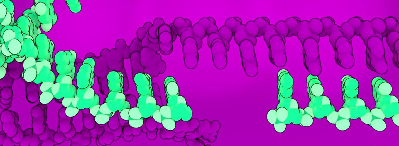 Cas9 Western greene