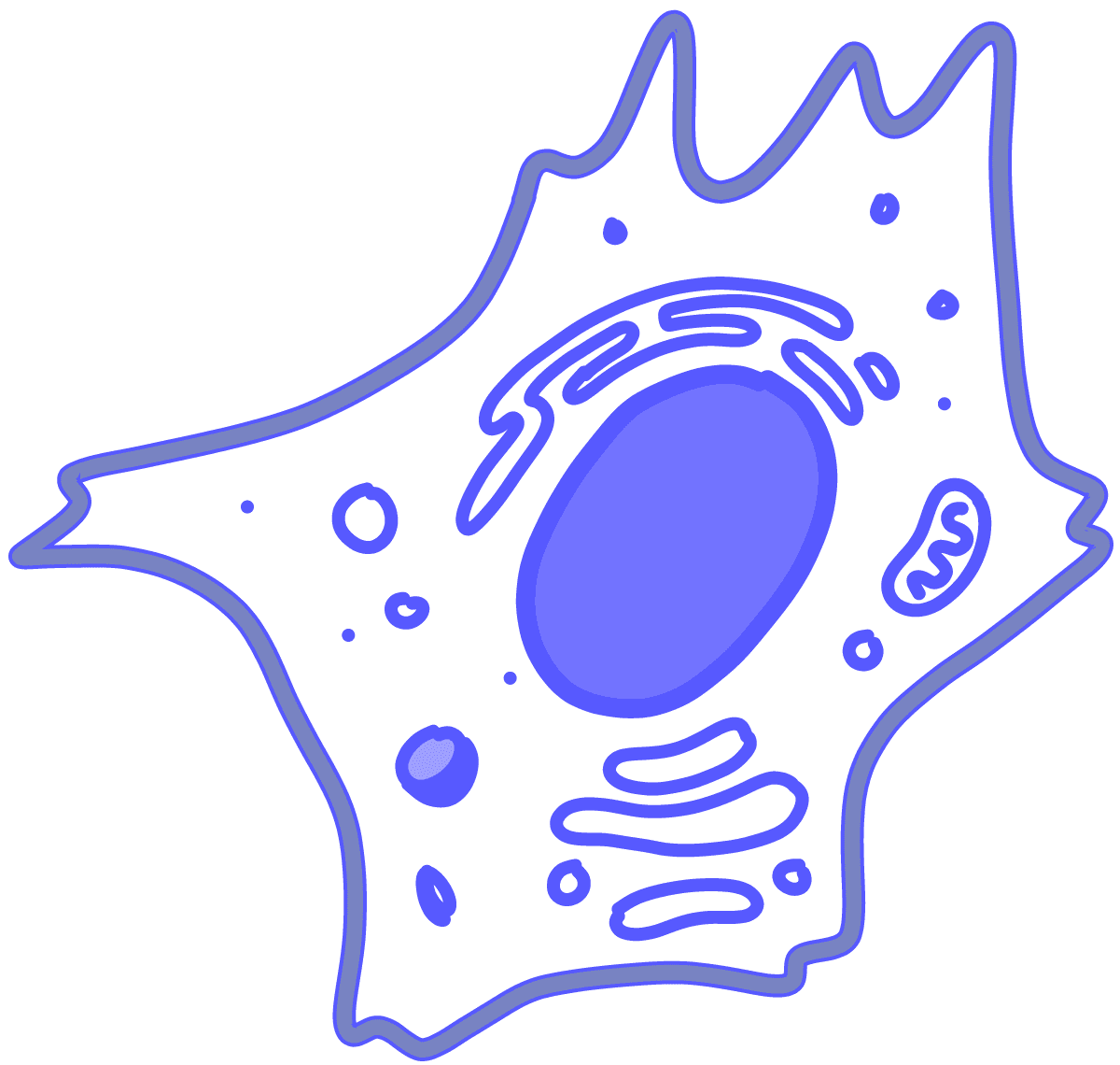 Image of a blue eukaryotic cell