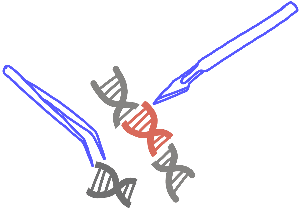 Image of a scalpel and tweezers replacing a section of DNA with a red DNA fragment.