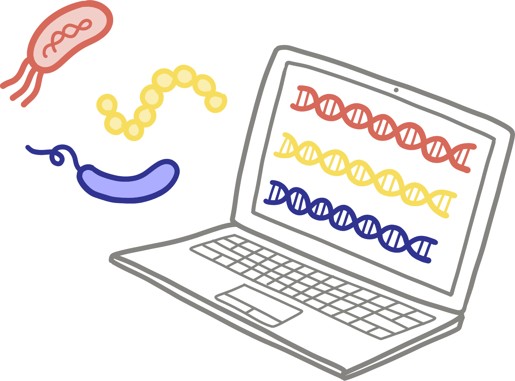 Illustration of metagenomics