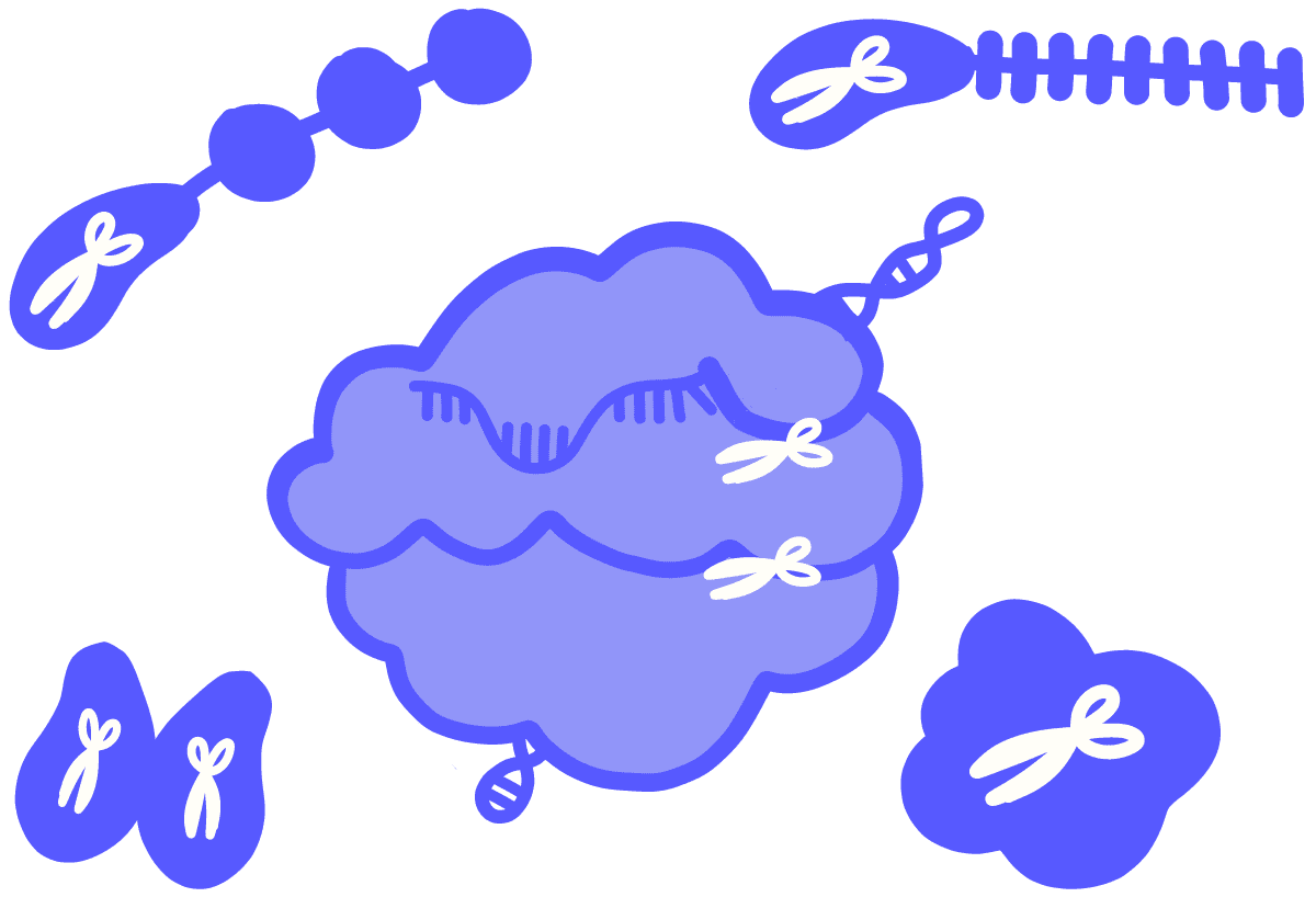 Image of a nuclease enzyme that has scissors to represent its function.