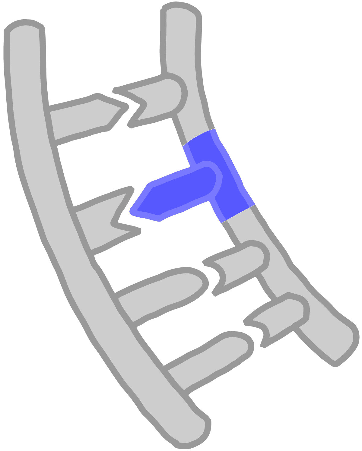 Image of a blue nucleotide