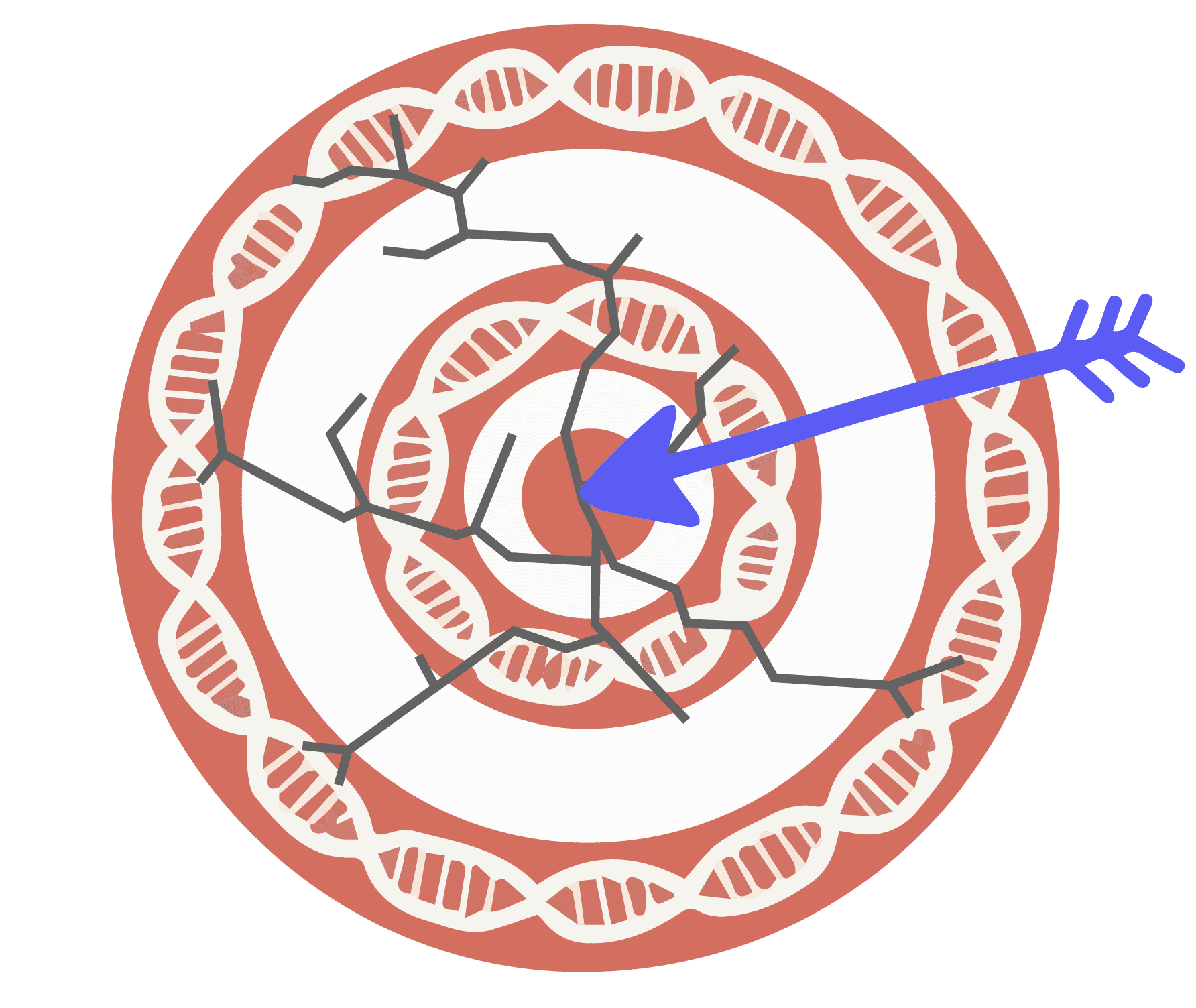 Illustration of on-target effect