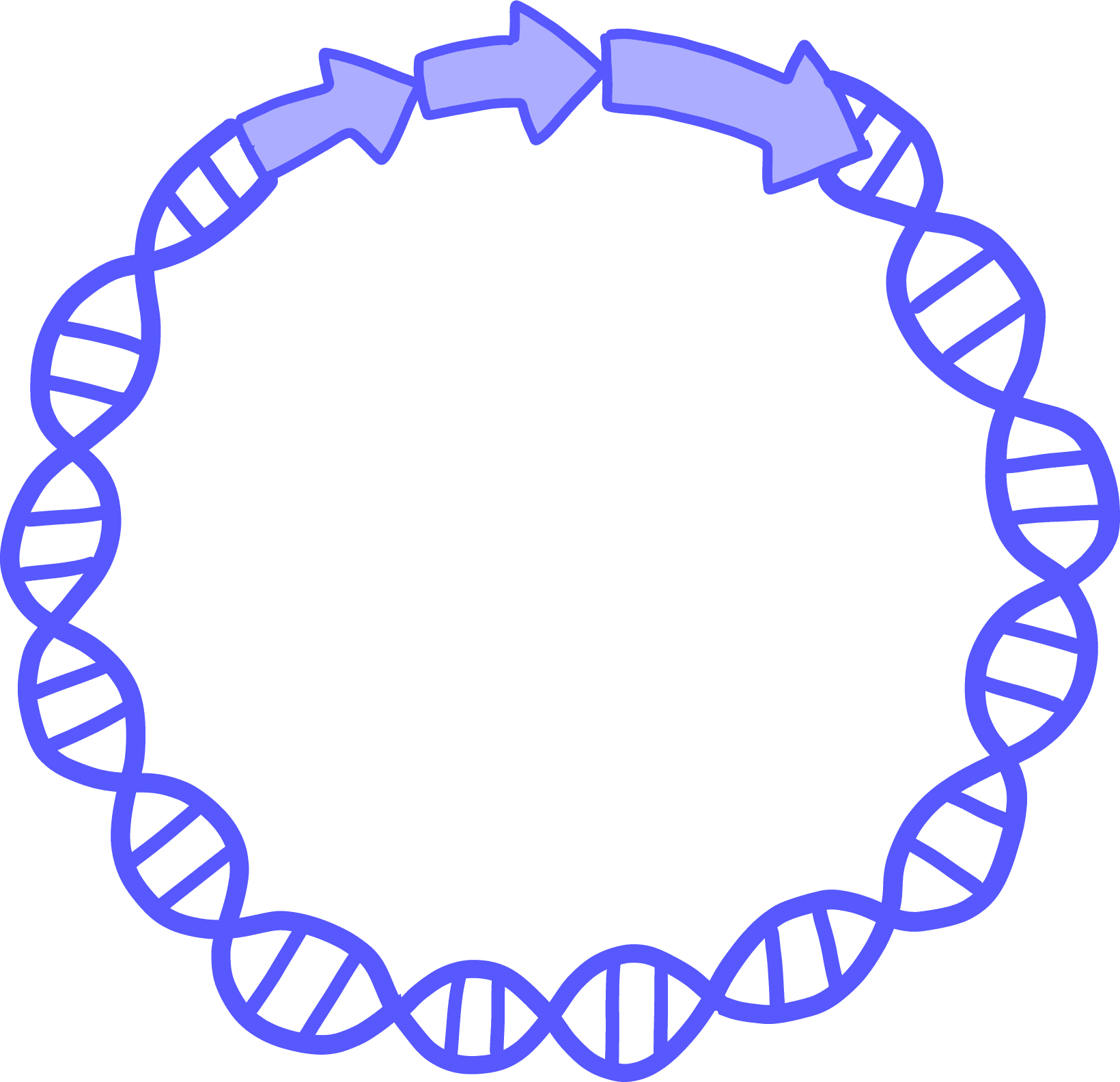 Illustration of a plasmid