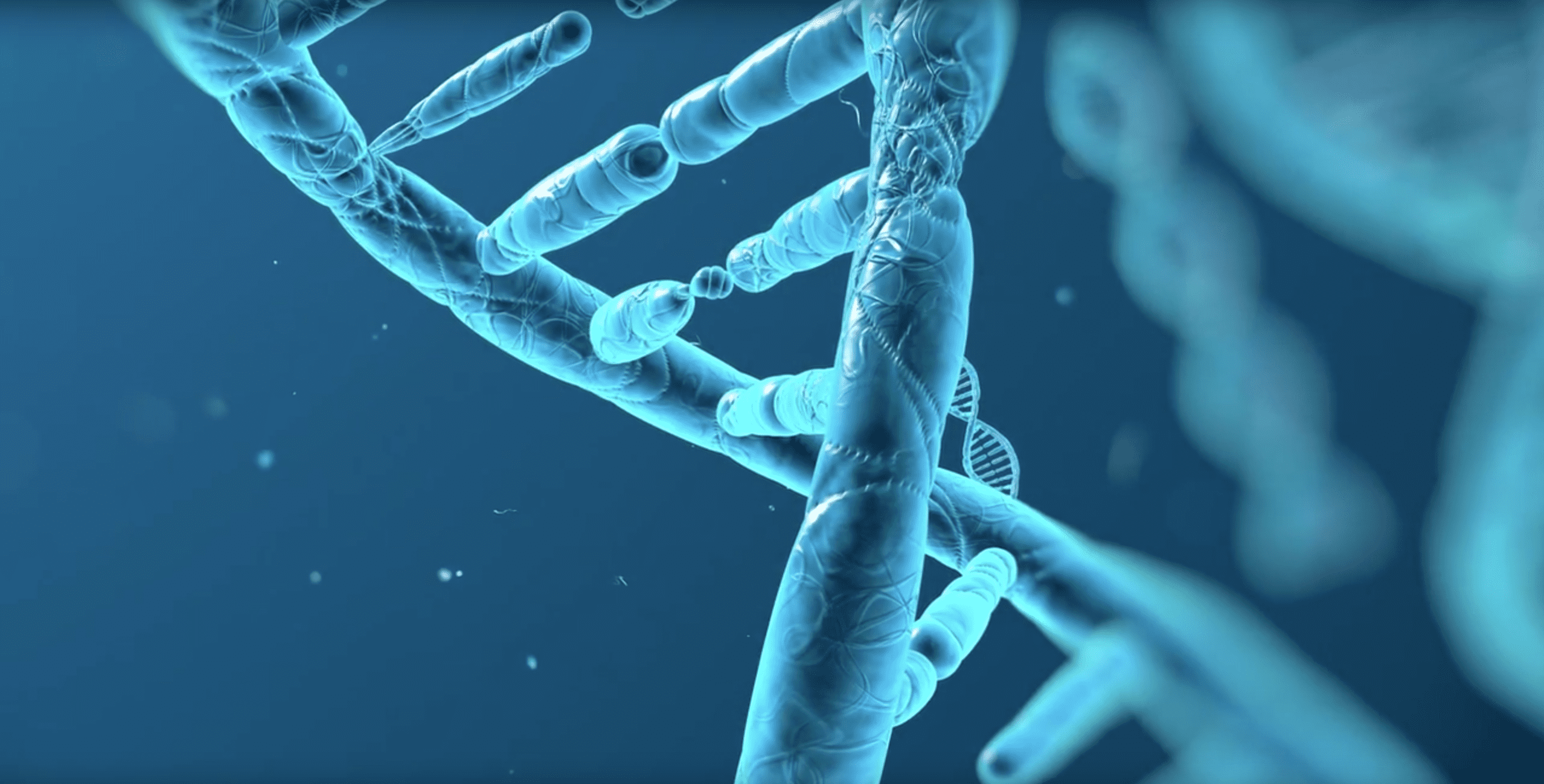 Cartoon representation of a DNA double helix