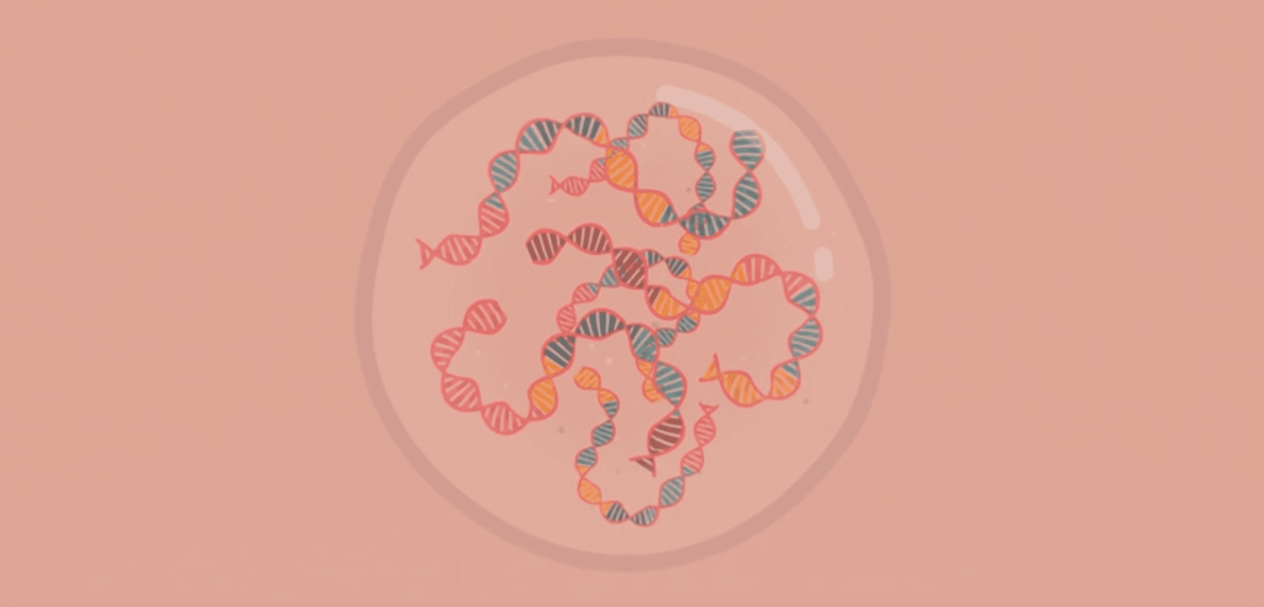 Tangled DNA double helix confined in a circle