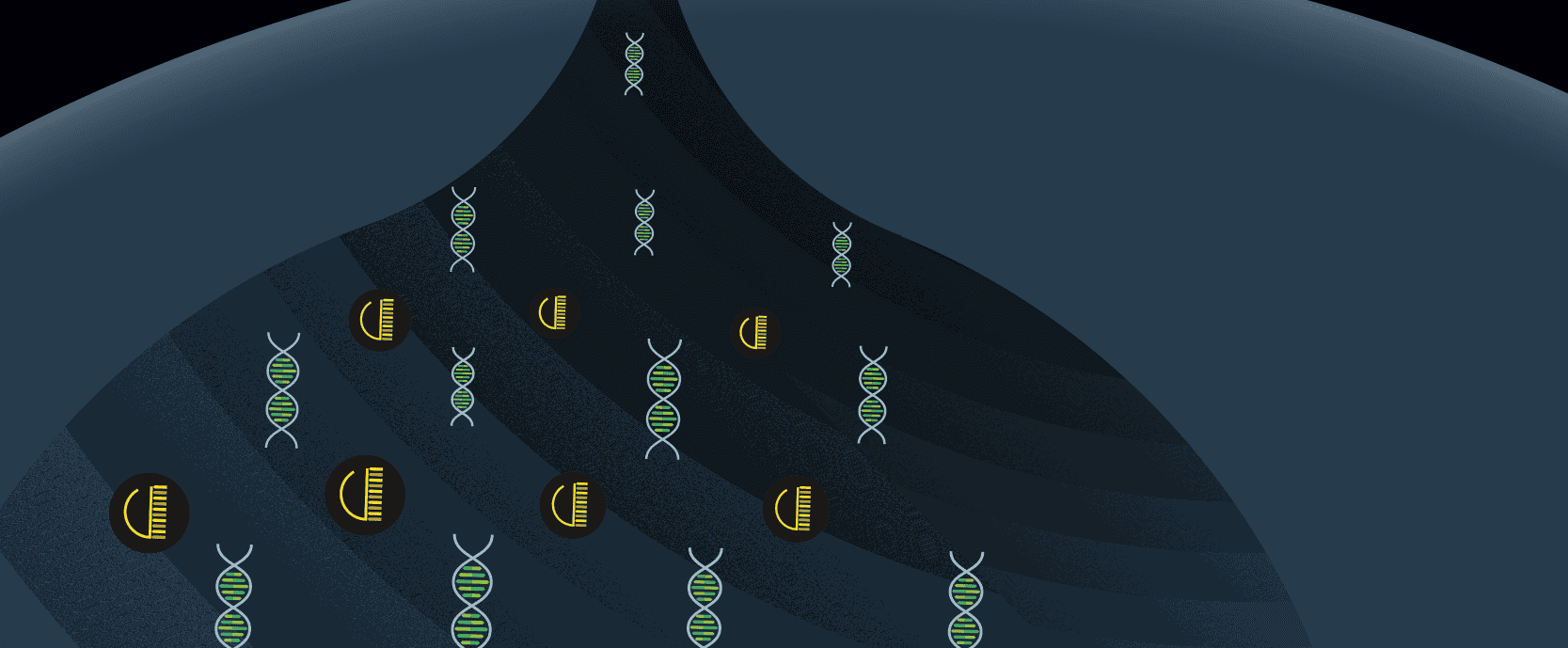 Cartoon of DNA and protein