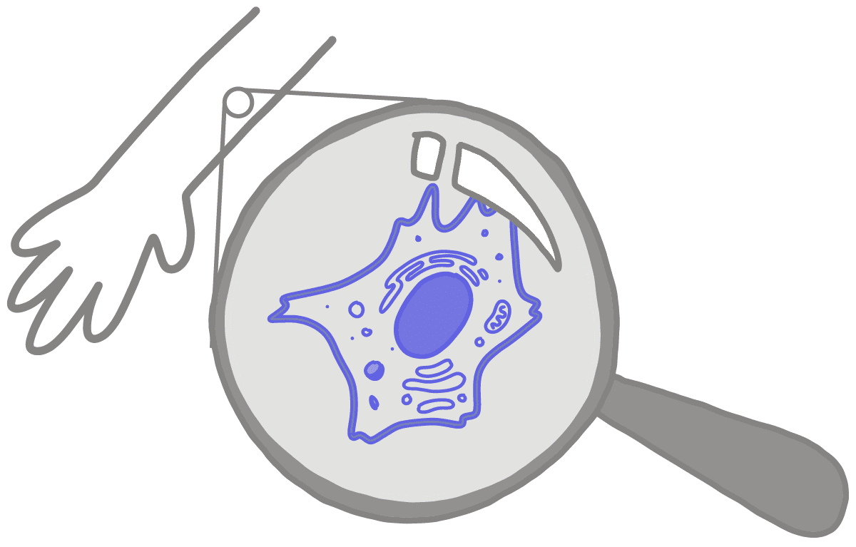 Image of a blue somatic cell under a magnifying glass. The somatic cell is being magnified from an arm.