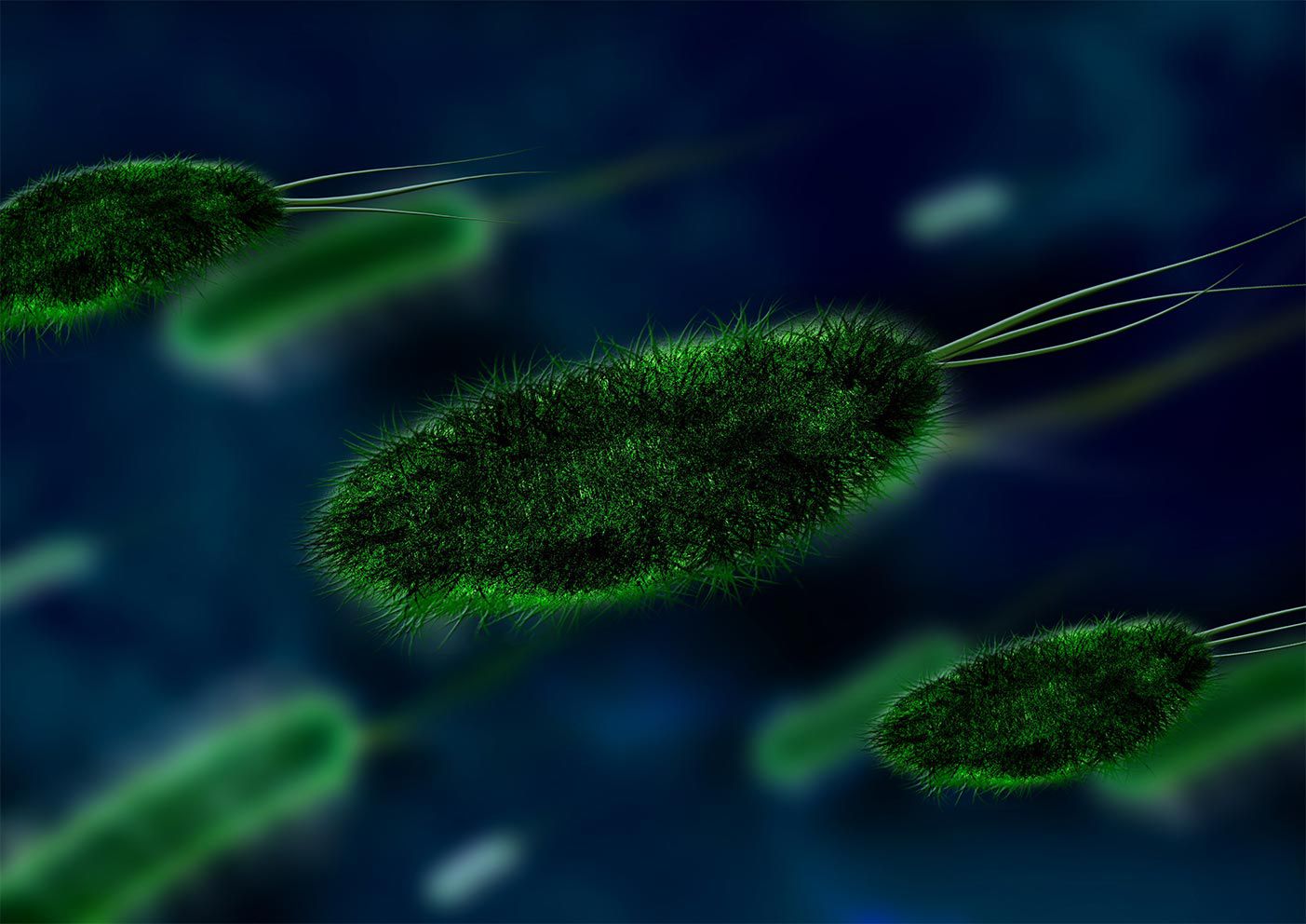 3D rendering of E. coli