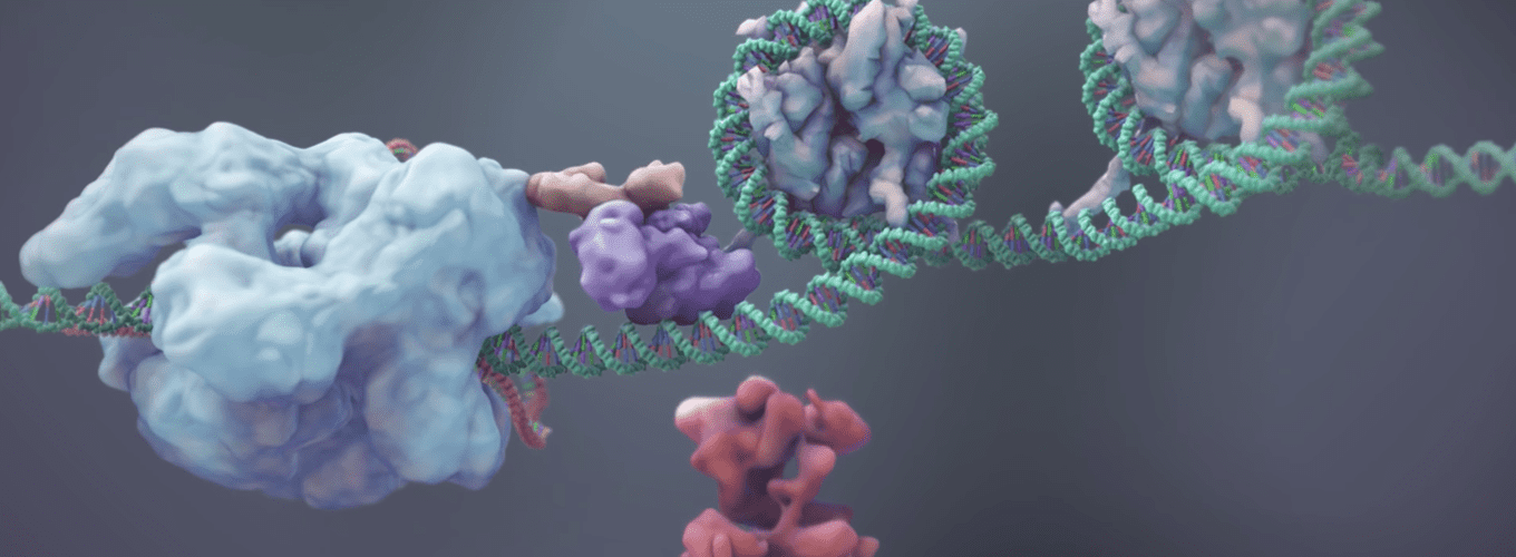 Screenshot from molecular animation about uses of CRISPR-Cas9 and dCas9