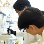 Peter Yoon and Terry Zhang working in the Doudna Lab