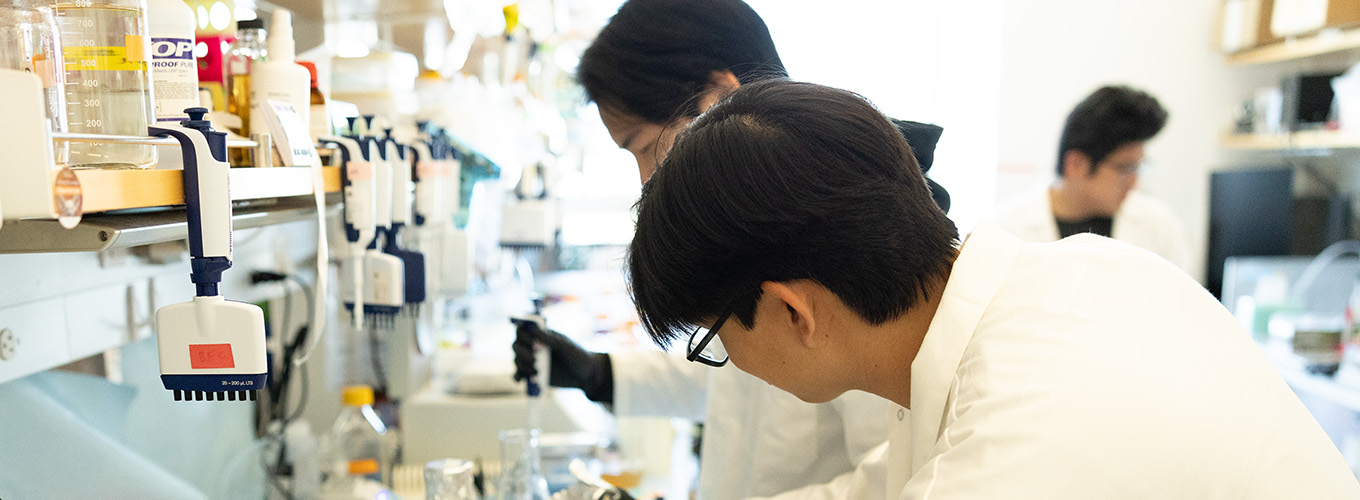 Peter Yoon and Terry Zhang working in the Doudna Lab