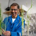 Venkatesan Sundaresan in lab