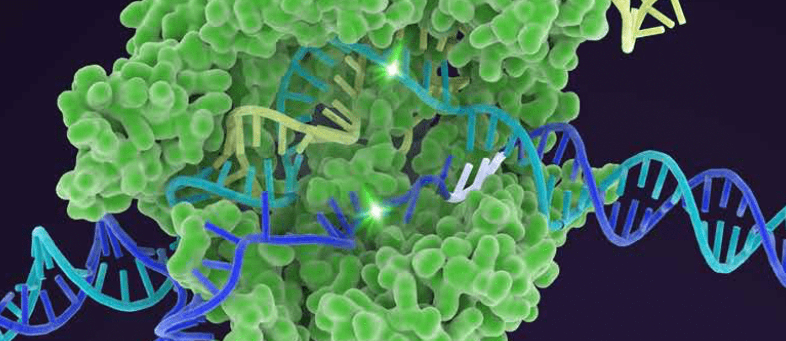 IGI Cas9 attached to DNA wide banner